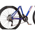 High Grade 30 Speed Mountain Bike Cameron Style MTB (FP-MTB-A03)